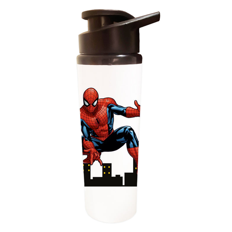 Water Bottle - Spiderman