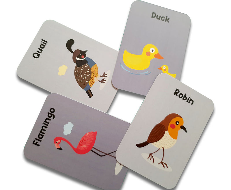 Birds Flash Cards for Kids- Pack of 24