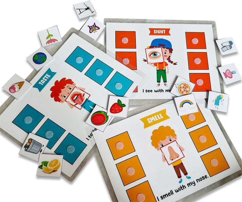 5 Senses sorting Activity Games