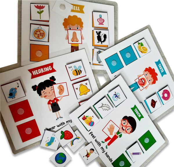 5 Senses sorting Activity Games