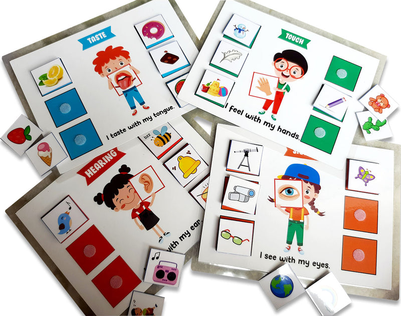 5 Senses sorting Activity Games