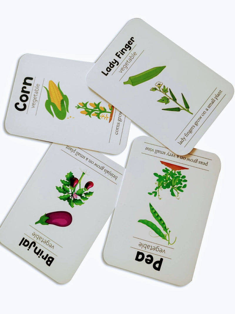 First flashcards combo pack - animals, fruits & vegetables, professions & space flashcards)